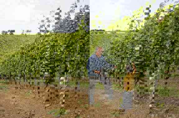 Frascineti Campagna