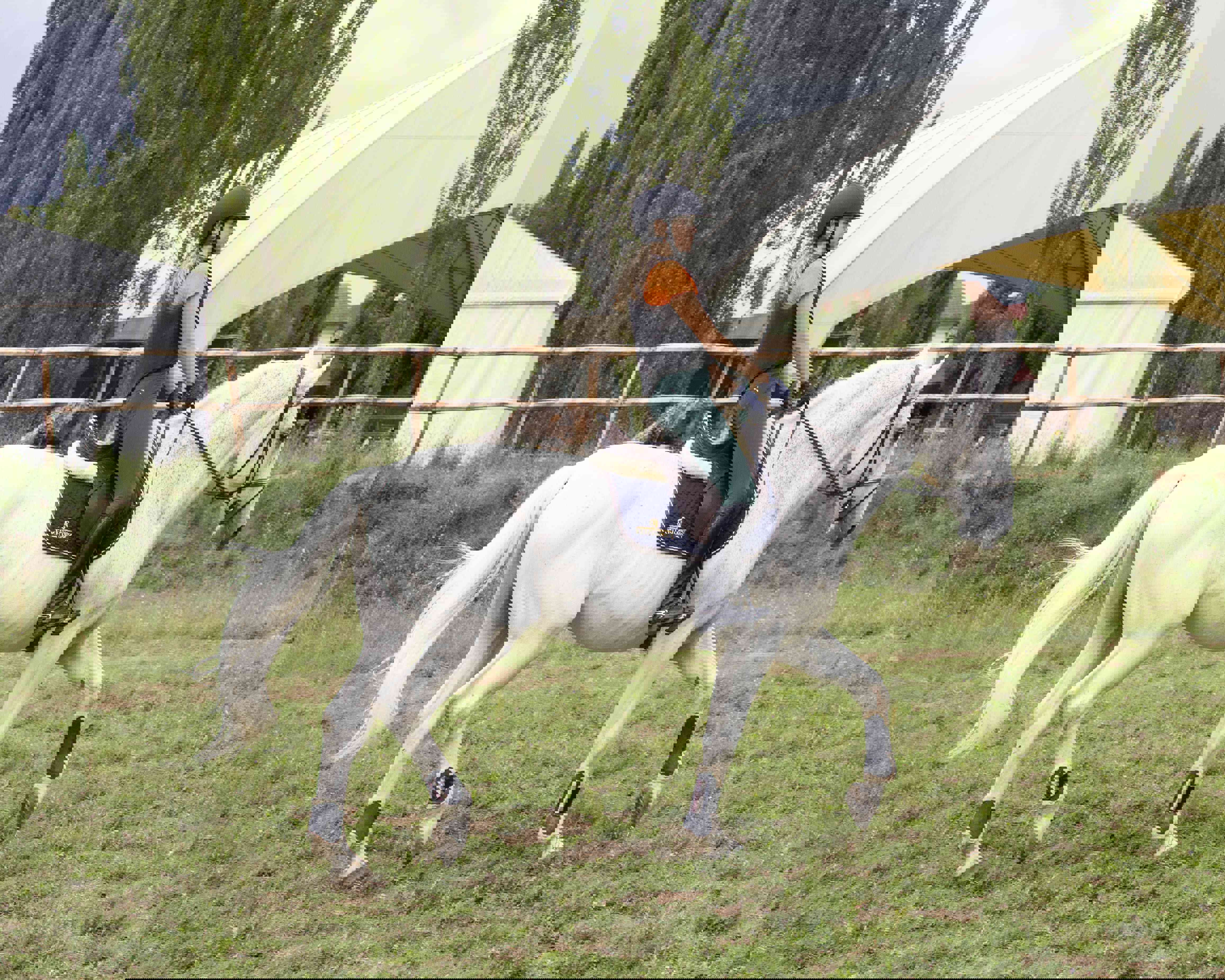 Cavallo Bianco
