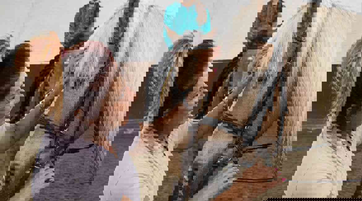 Cavallo Con Briglia