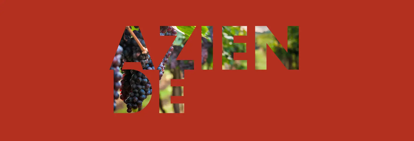 Aziende Mycms 4000X2250
