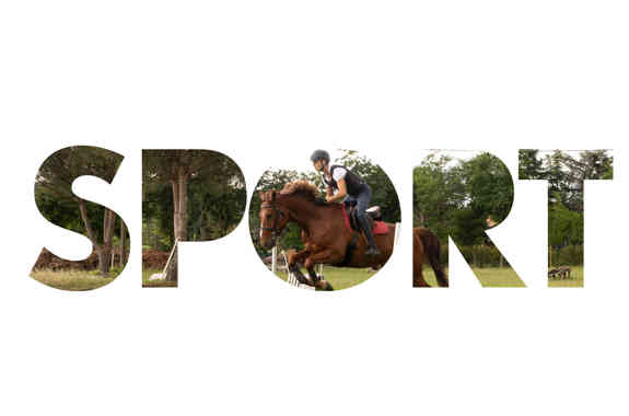 Sport Mycms 4000X2250