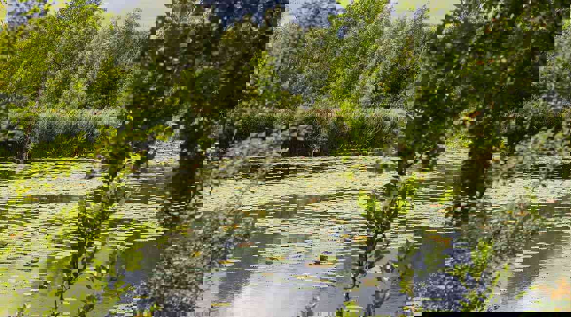Giardino Delle Ninfee Min