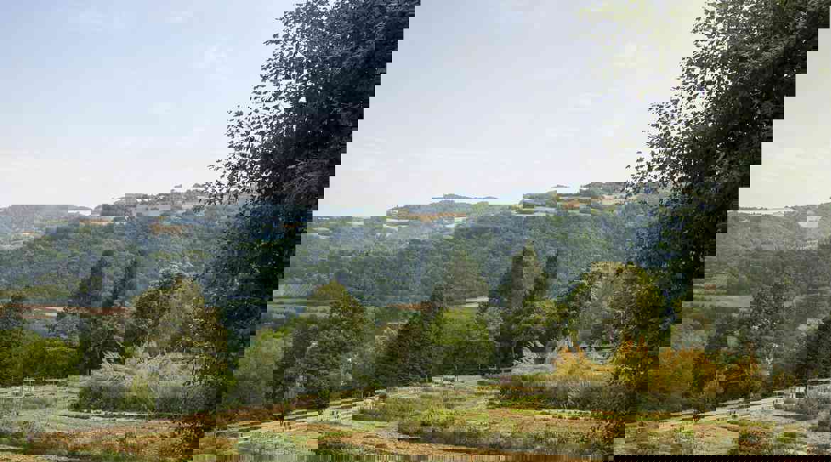 Giardino Delle Erbe Min