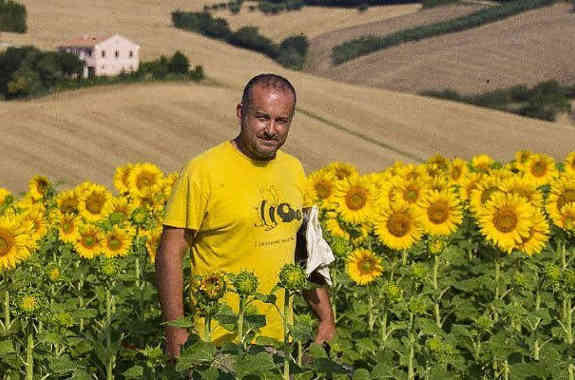 IMG BCC21004 Giorgio Baracani Apicoltori Felsinei 2020