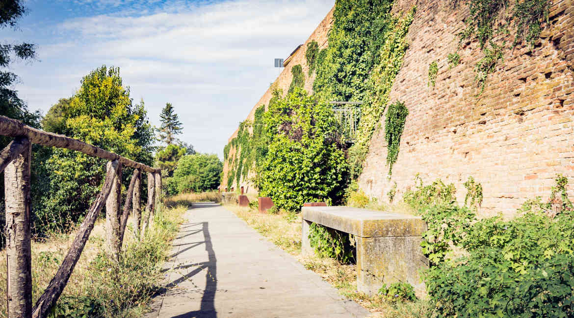 Riolo Camminamento Lungo Le Mura