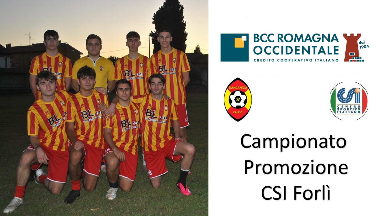 Calcio A 7 Biancanigo LOGO