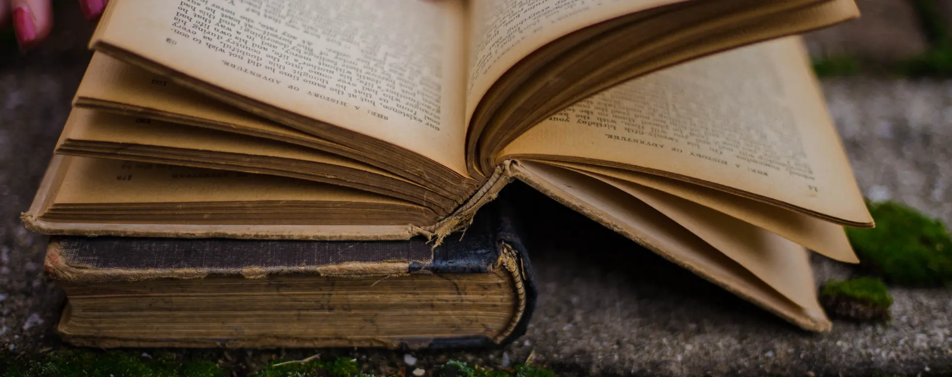 Offriamo contributi alla cultura 