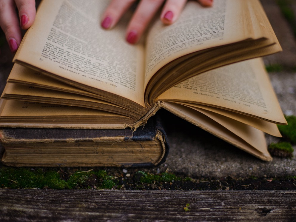 Offriamo contributi alla cultura 
