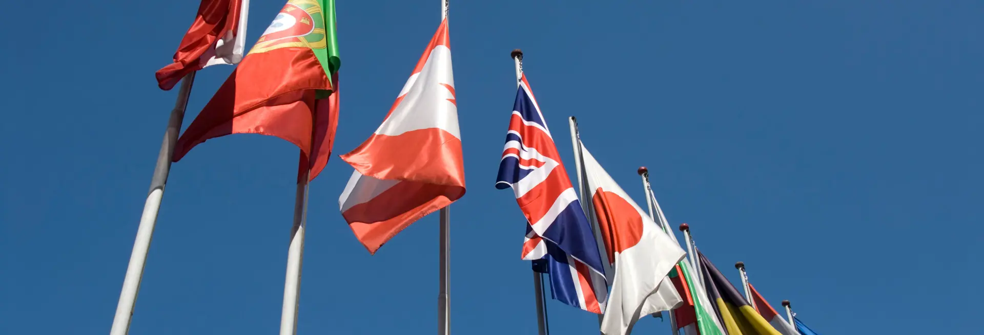 Sostegno Internazionalizzazione