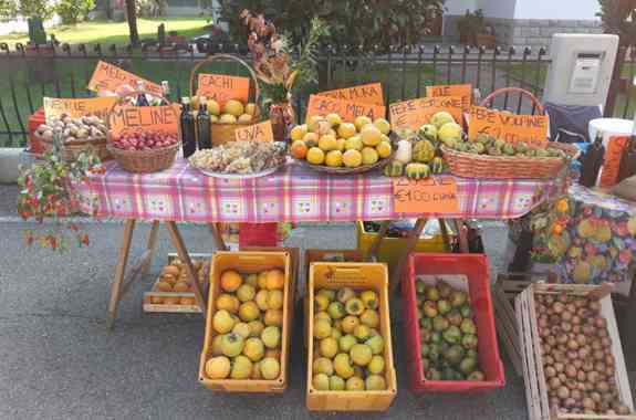 Sagra Borgo Rivola (1)