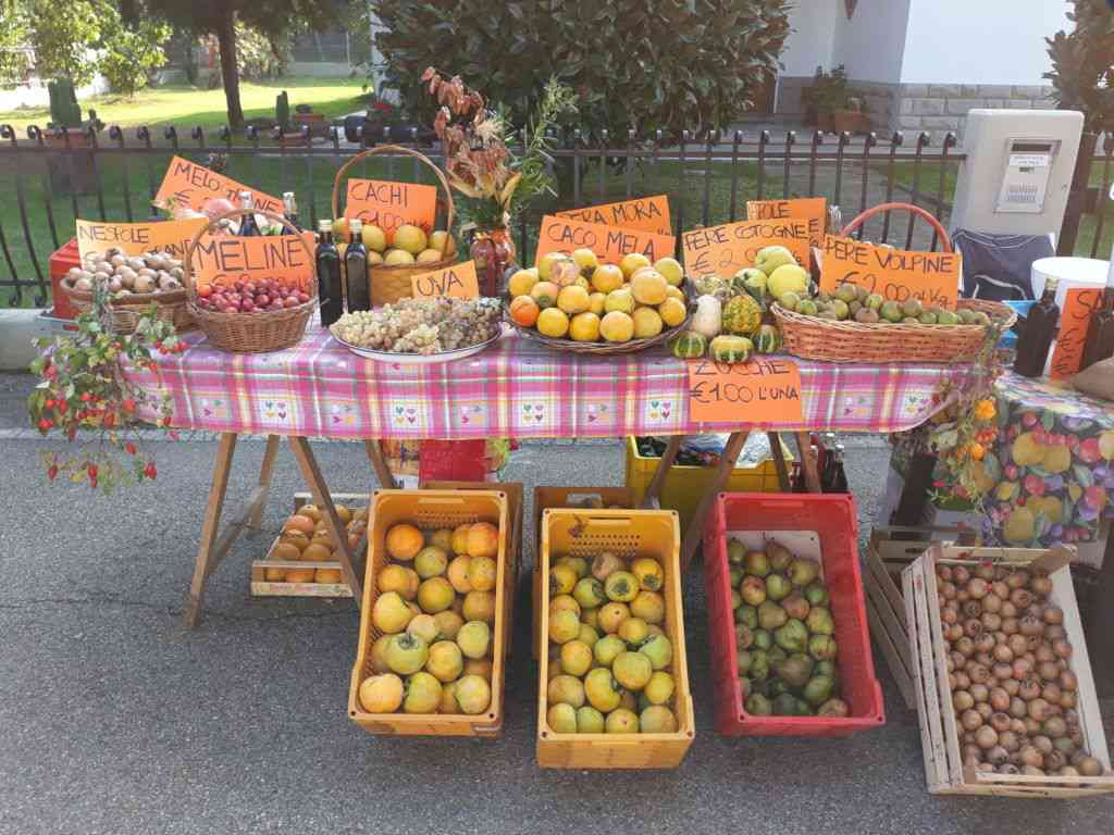 Sagra Borgo Rivola (1)