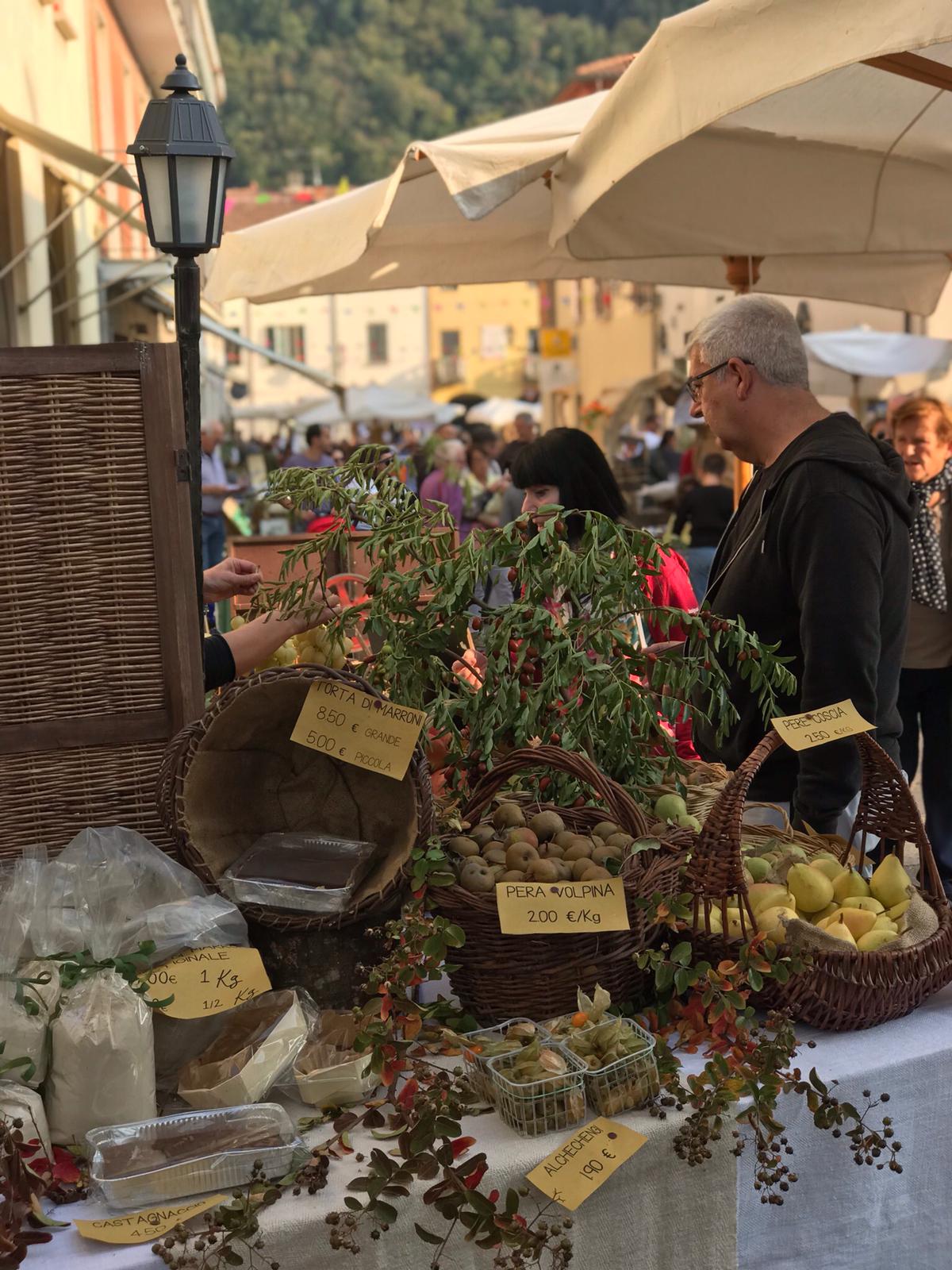 Img BCC25001 Proloco Casola Valsenio Attività 1