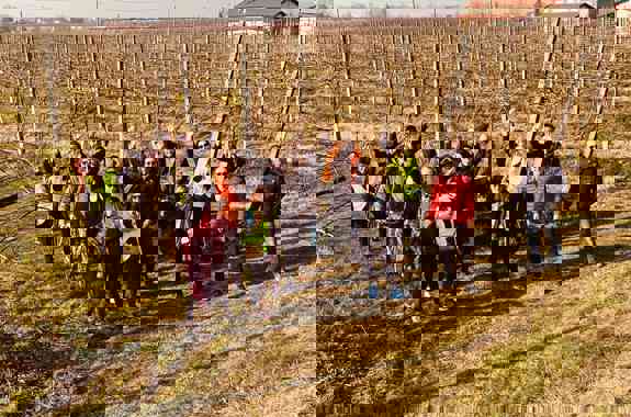 Img BCC26001 Proloco Mordano 2