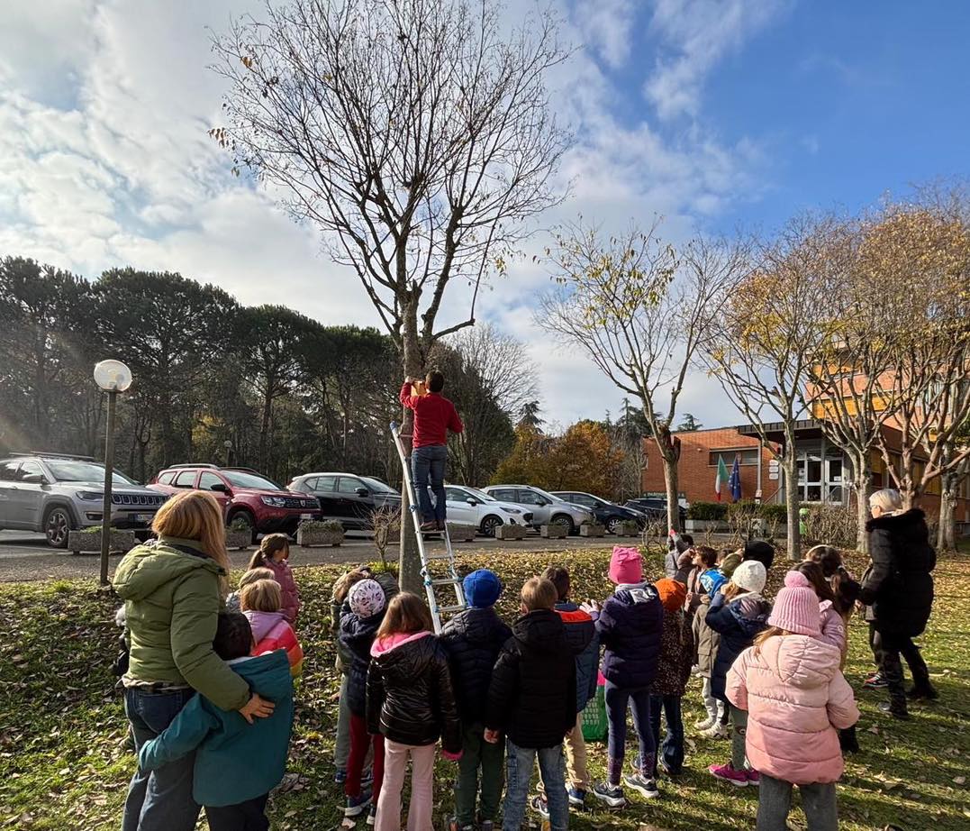 Img BCC2600 BCC26001 Scuola Paritaria San Giovanni In Bosco Imola