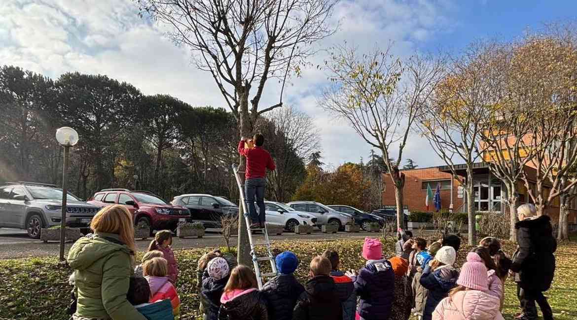 Img BCC2600 BCC26001 Scuola Paritaria San Giovanni In Bosco Imola